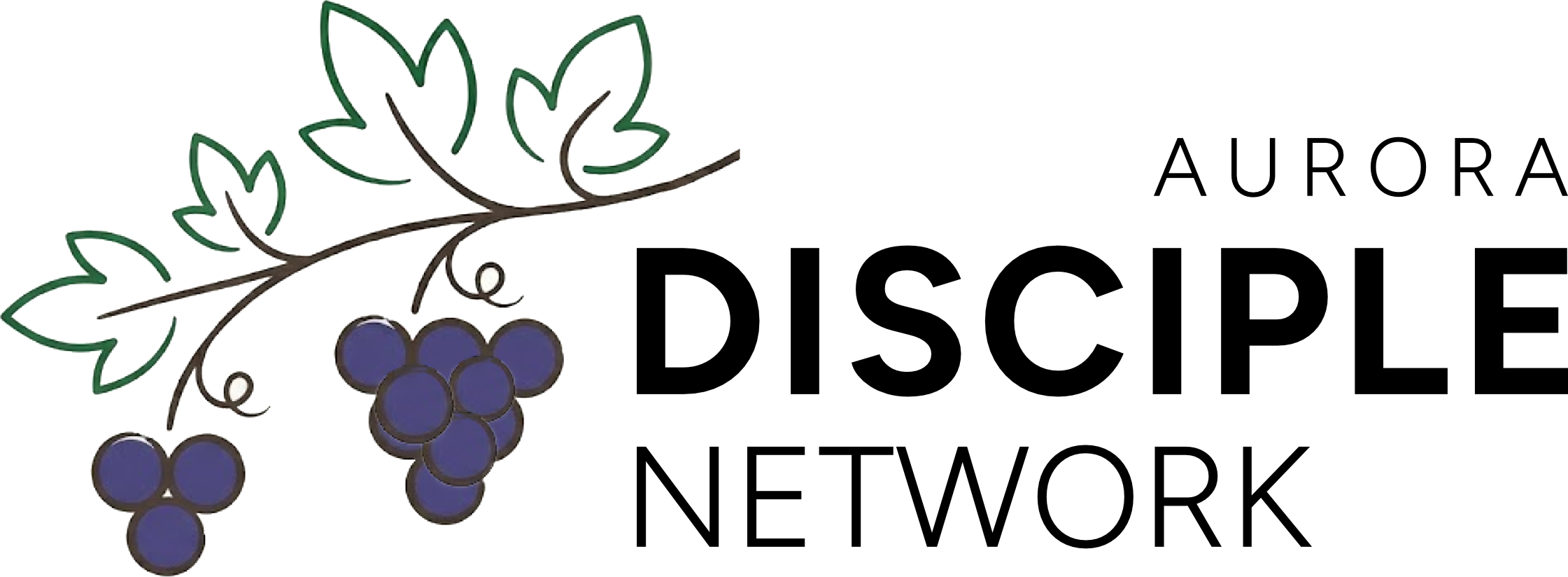 Aurora Disciple Network